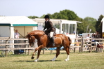 SBM_17738