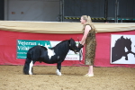 SBM_16563