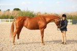 SBM_08601