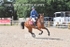 BPP_4548