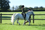 SBM_36738