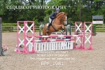 BPP_1981