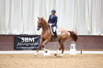 SBM_006381