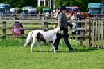 SBM_03404