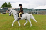 SBM_08655