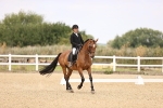 SBM_007231