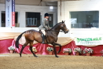 SBM_14966