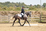 SBM_003469