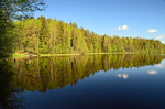 Taevaskoja, Estonia