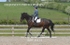 BPP_6272