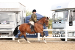SBM_01654