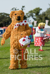 North Show 2017-66