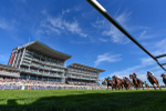 120725-Race 7-Aberama Gold-7289