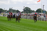 130626-Race 1-Dunkeld Dreamer-0514
