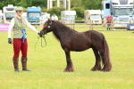 SBM_06312