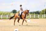 SBM_002211