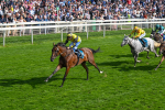 220825-Race 5-Cape Flora-7677