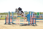 SBM_001536