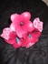 Buds and blooms bouquet