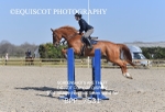 BPP_7531