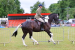 SBM_02497