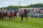 150526-Race 3-Warrant Holder-7533