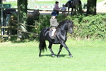SBM_50346