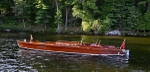 Whippet23-3043