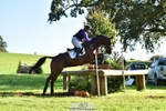 229-HARTHILL.SAMBA-Charlotte.Rowe-XC portfolio