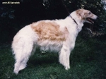 Tzamilja's son Dirik Czarinjin von Prisca