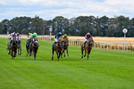 070826-Race 1-Drish Samphire-1331