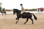 SBM_02911