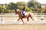 SBM_016851