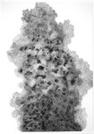 Fray and Fragment 11, Indian ink on Paper, 59cm x 84cm
