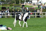 SBM_51835