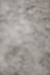 SBM_002079