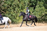 WJ6_8154