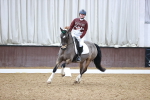 SBM_001503