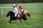 SHETPR 210425 206