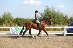 SBM_02207