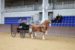 SBM_000537