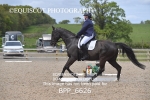 BPP_6626