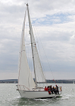 100511 LAMBIS IMG_9740