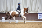 SBM_007164