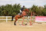 SBM_006118