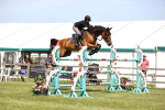 SBM_07342