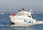131116 BRIGHT SPARK SEALINE F34  WT7A2925