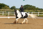 SBM_006985