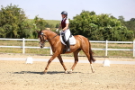 SBM_003708