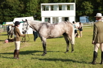 SBM_20033